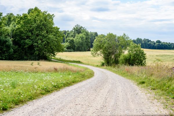 Stone Driveway Repair in Schaumburg