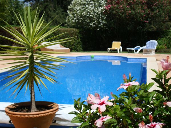 Pool Terrace Renovation in Schaumburg