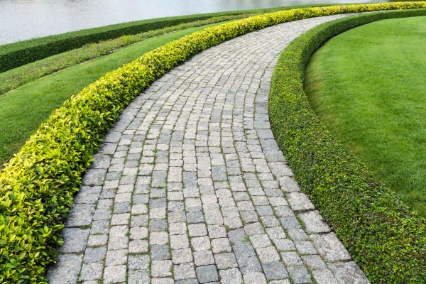Sidewalk Pavers Installation in Schaumburg