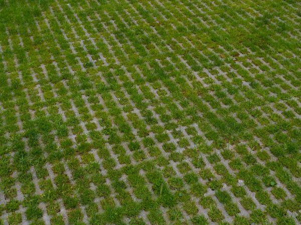 Permeable Pavement Service in Schaumburg