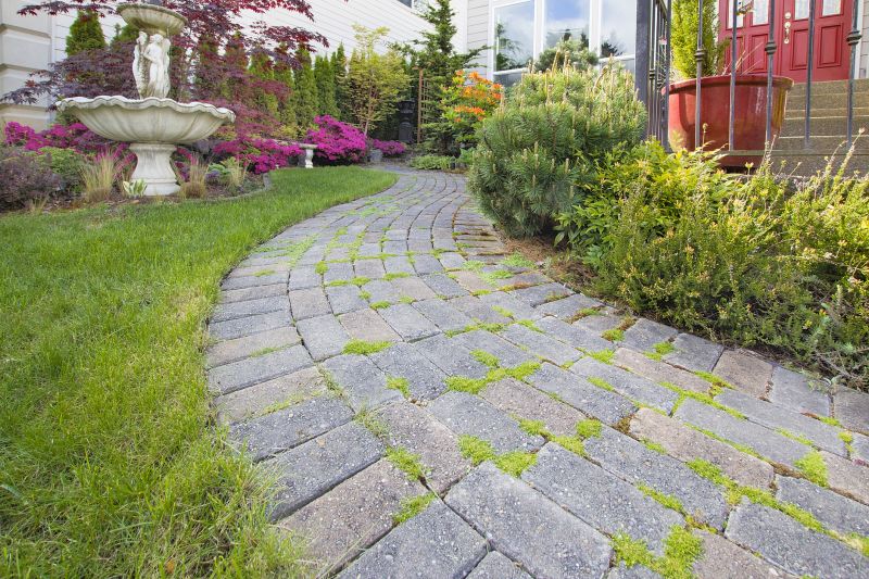 Colorful Paver Choices